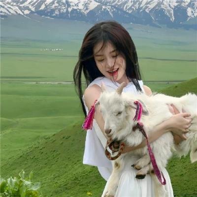 乐高玩电影 海报