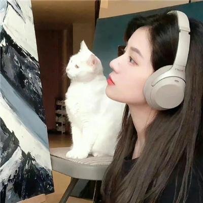 返朴 海报